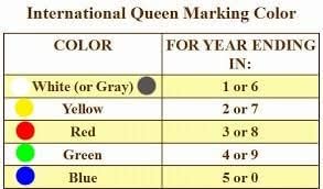 MPD-15 Enamel Paint Markers | 5 Pack - Beekeepers Combo (Red, White, Blue, Green, Yellow)
